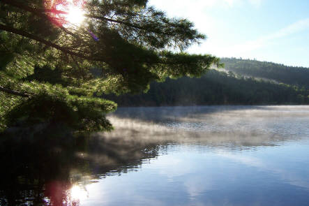 Click for full size image