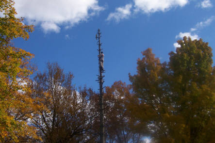 Click for full size image